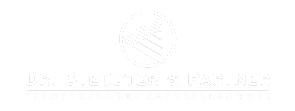 Dr. Steudter und Partner